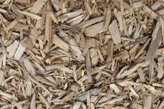 biomass boilers Dysart